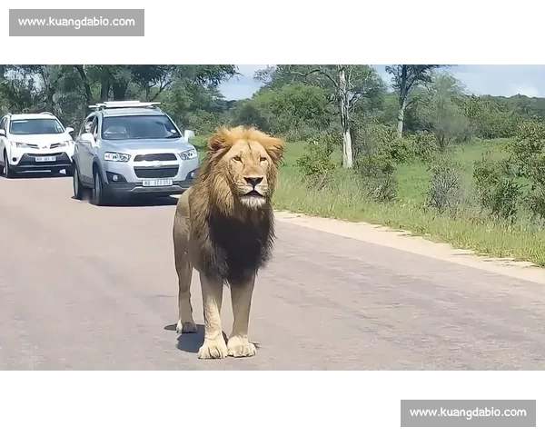 索罗・西科亚加冕全美冠军：实力碾压，何须 “YEET” 狂欢？